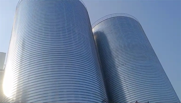 海棠2座混凝土高架卷板仓